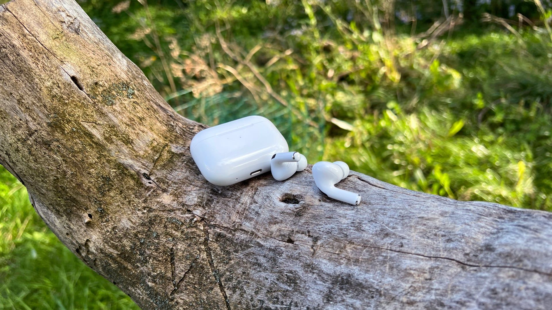Apple AirPods Pro 2 em árvore com case