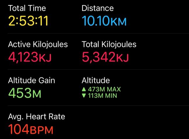 Dados de treino do Apple Watch no aplicativo Fitness