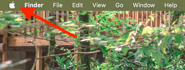 Clique no ícone da Apple no canto superior esquerdo da tela do seu Mac