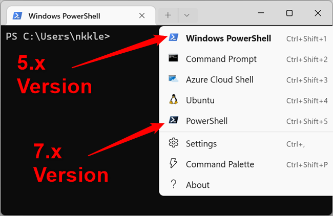 Duas versões diferentes do PowerShell disponíveis como perfis.