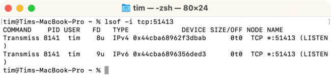 Liste processos usando uma porta em seu Mac com o comando lsof Terminal