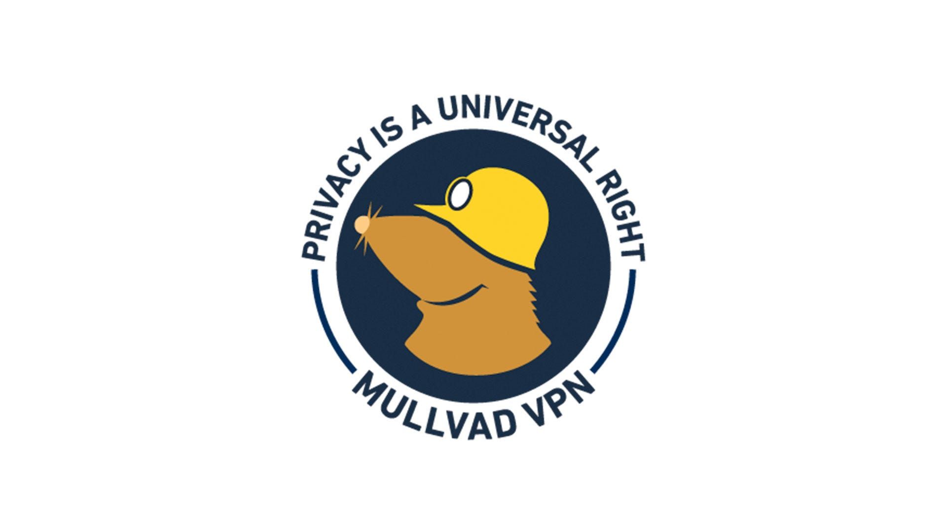 Mullvad-VPN-logotipo-com-privacidade-é-um-texto-direito-universal-1