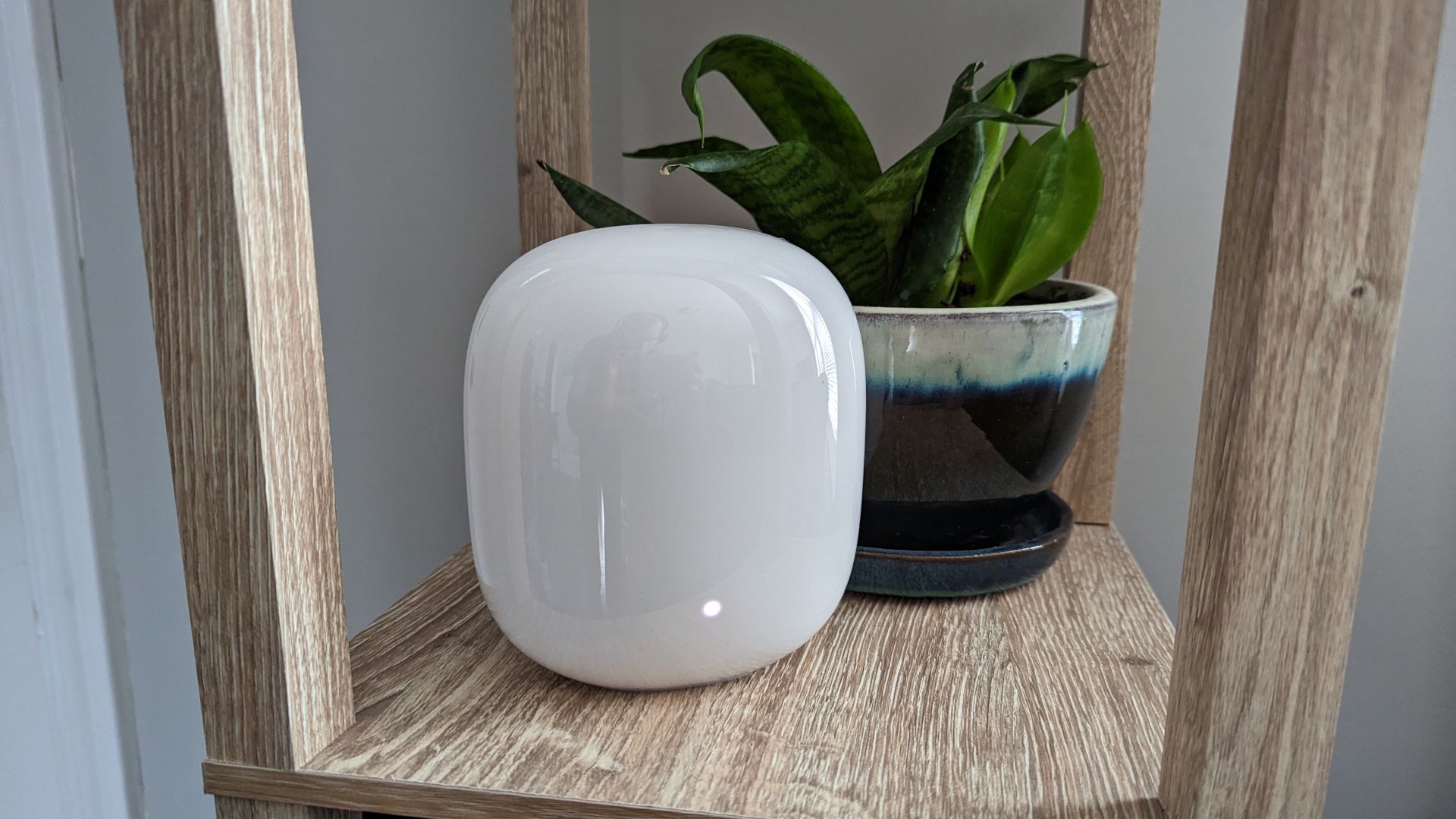 Nó Nest Wifi Pro em uma prateleira ao lado de uma planta de casa.