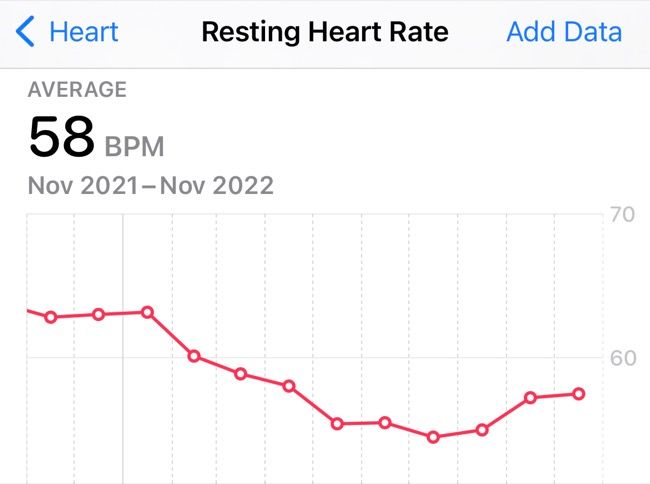 Informações de frequência cardíaca em repouso ao longo de um ano no Apple Health