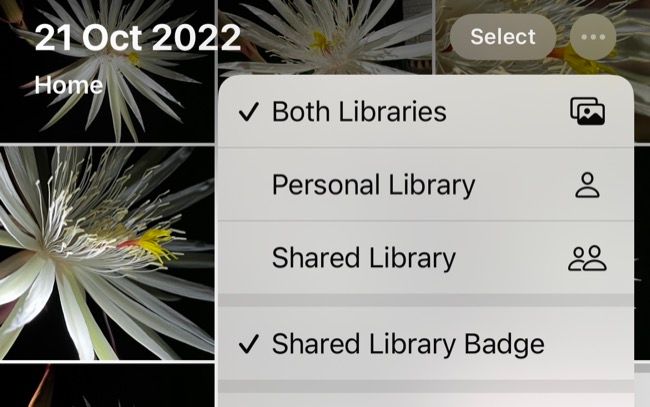 Alternar entre bibliotecas pessoais, compartilhadas ou ambas em Fotos para iPhone