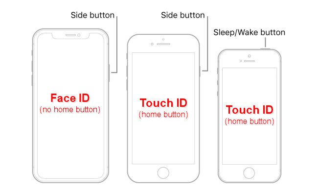 Diagrama de iPhones com Face ID ou Touch ID