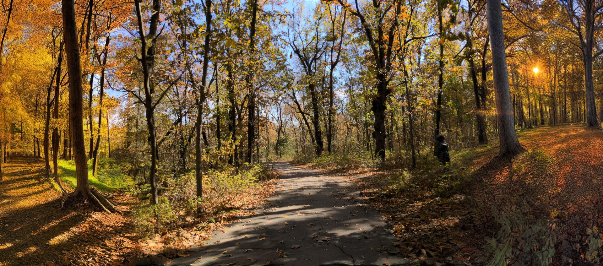 Foto ampliada de uma trilha de caminhada no outono com os lados esquerdo e direito gerados usando Difusão Estável.